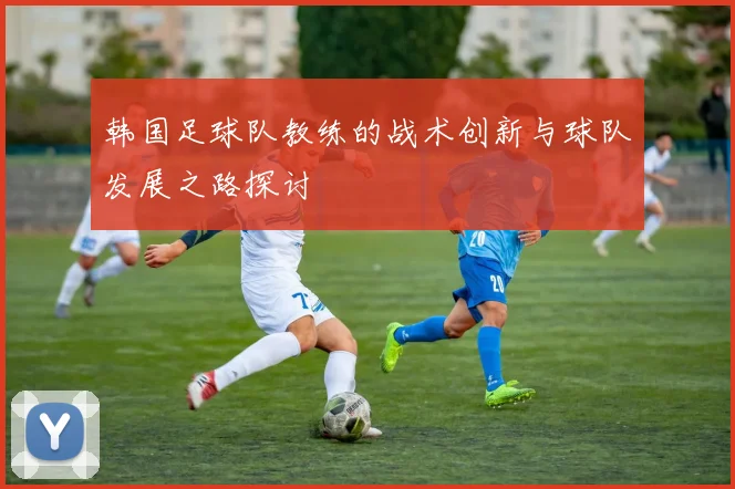 韩国足球队教练的战术创新与球队发展之路探讨