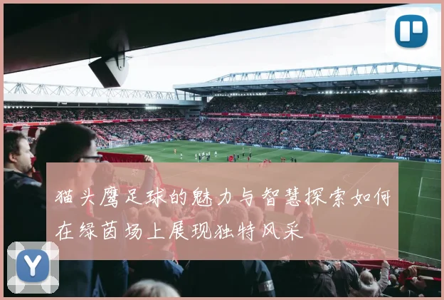 猫头鹰足球的魅力与智慧探索如何在绿茵场上展现独特风采