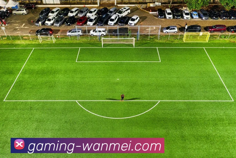 焦点体育服务体系